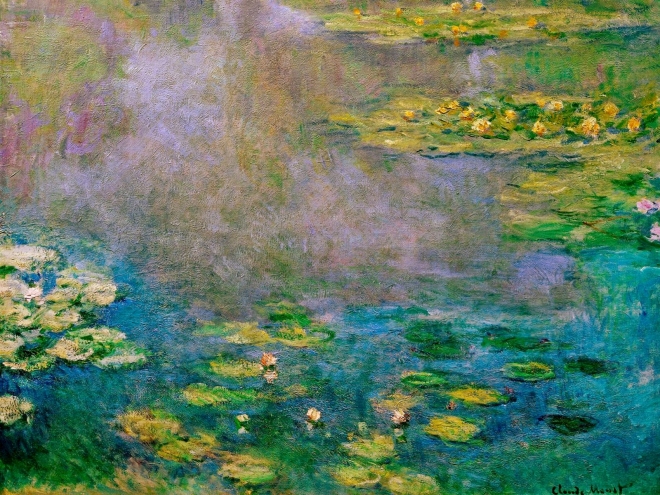 water-lilies-12